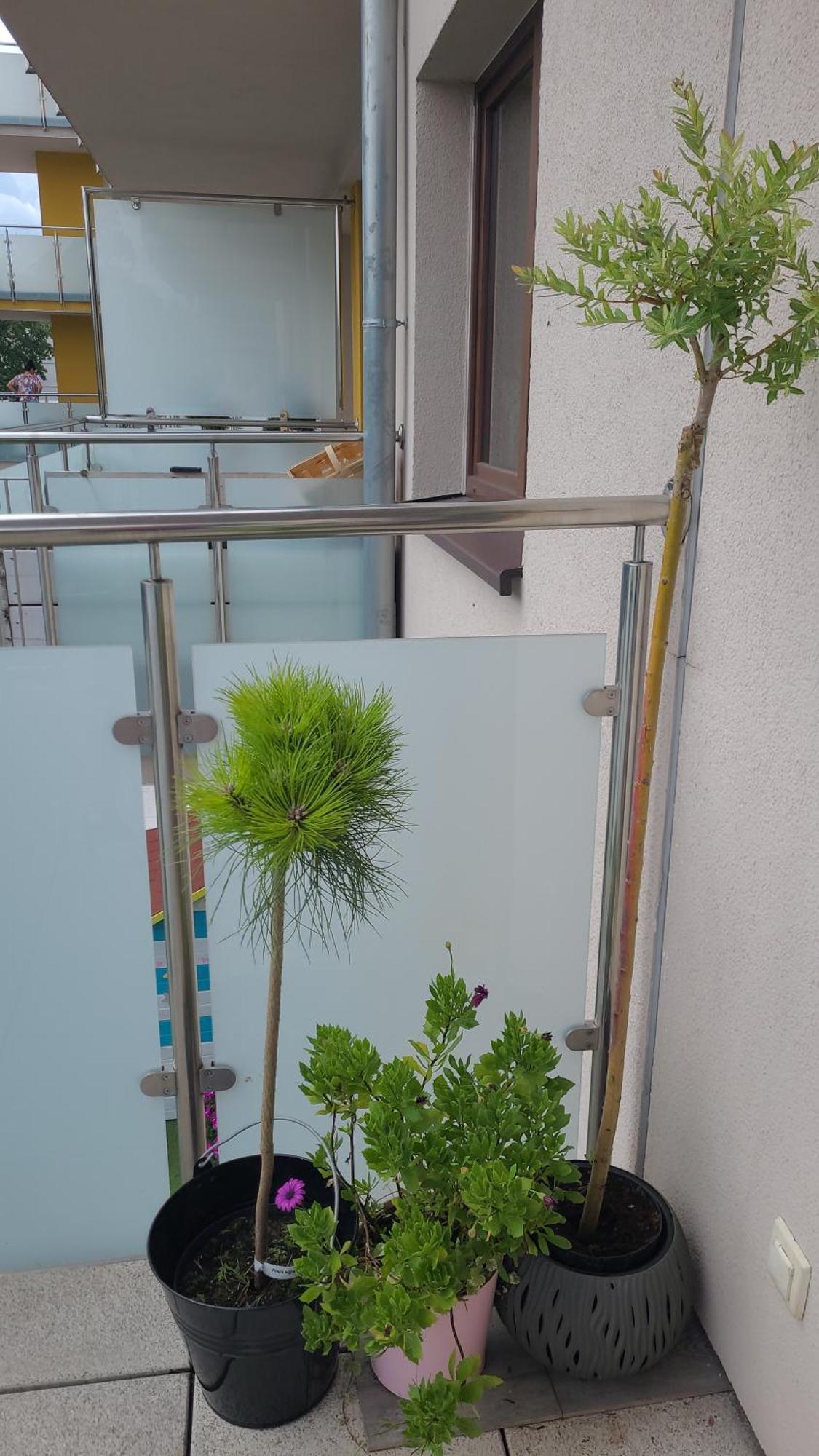 Apartament Młynówka 4 Jelenia Góra Exterior foto
